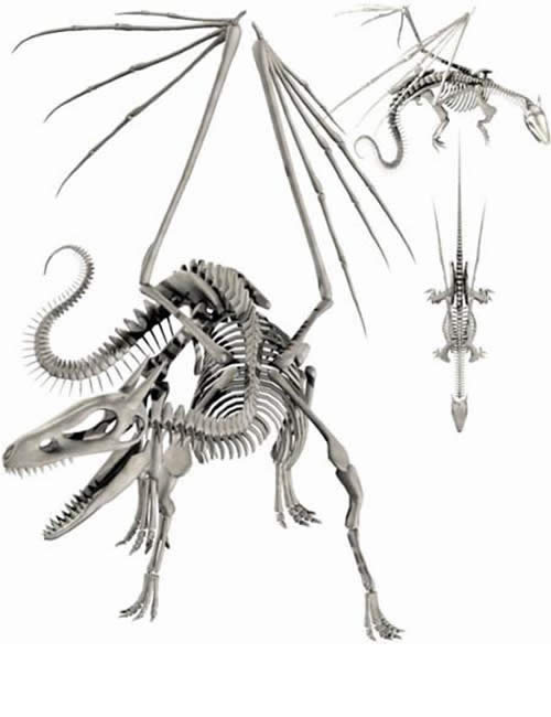 Dragon Skeleton (articulate vertebrae)