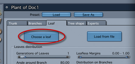 choose_a_leaf.jpg