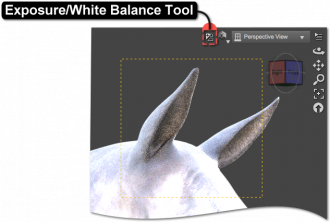 Exposure/White Balance Tool