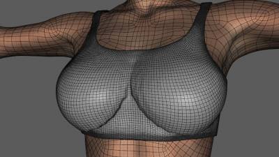 Original Mesh